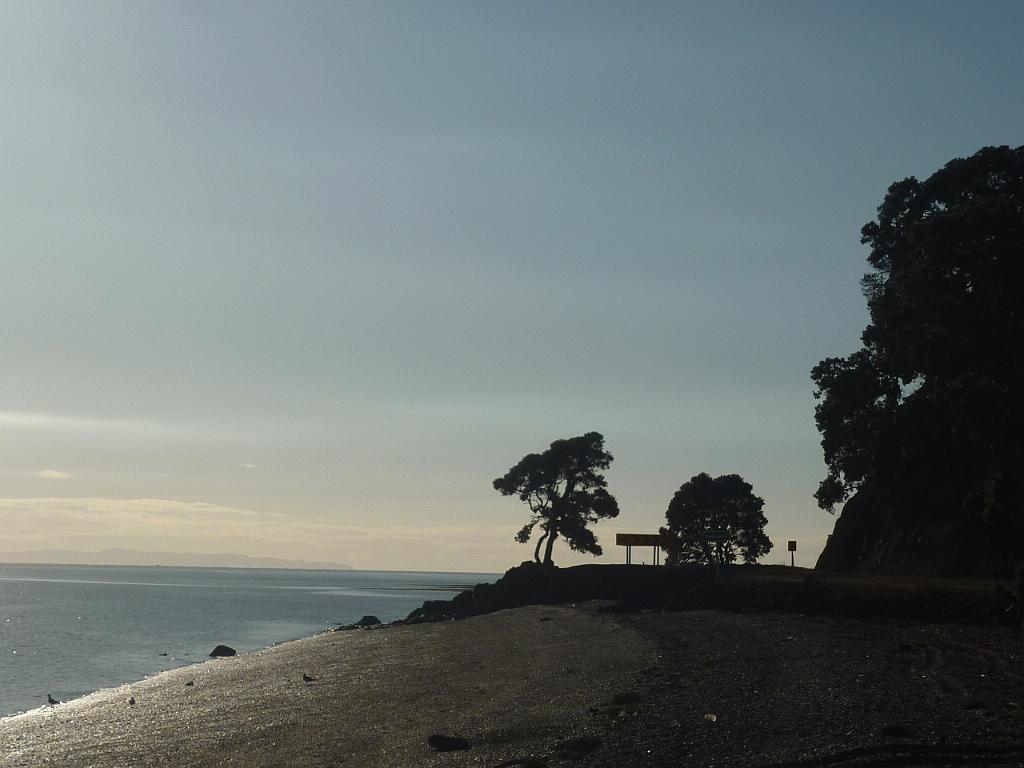 New_Zealand (1030).JPG